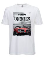 Dickies T-Shirt Allenton Weiß  5004