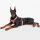 Alpha Industries Hundegeschirr Dog RBF Harness 116925 Remove Bevor Flight 6475